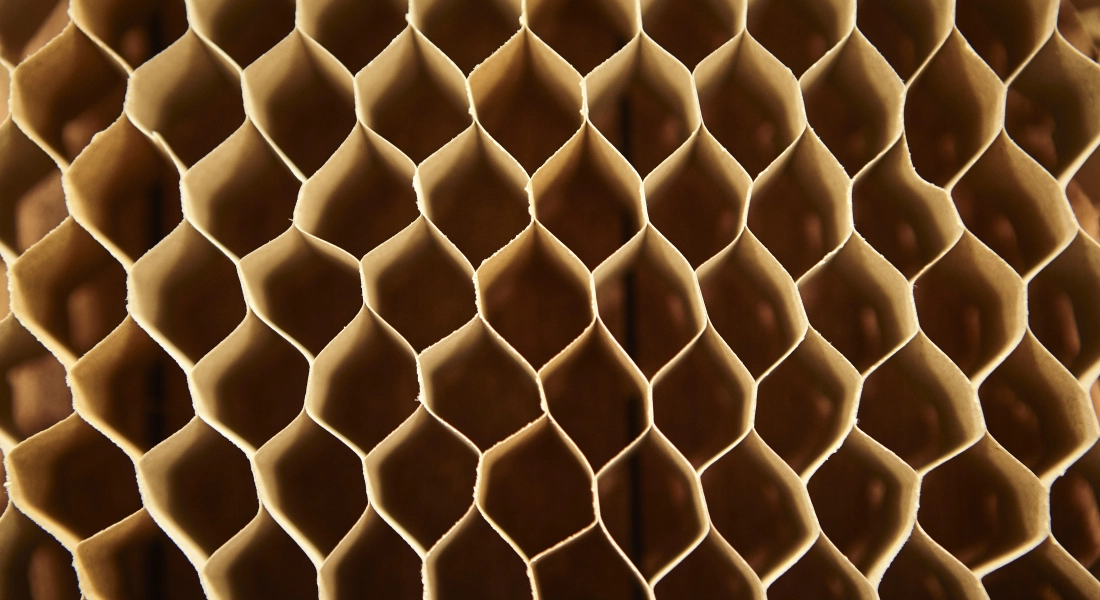 Berkvens 85 jaar: Boekuitreiking