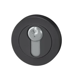 AG. 01 03 cilinder rozet